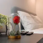 Descubra - Principe Real شقة